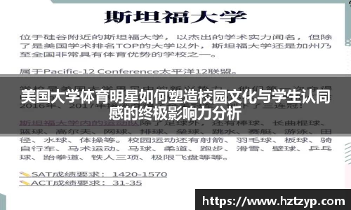 3377体育官网入口