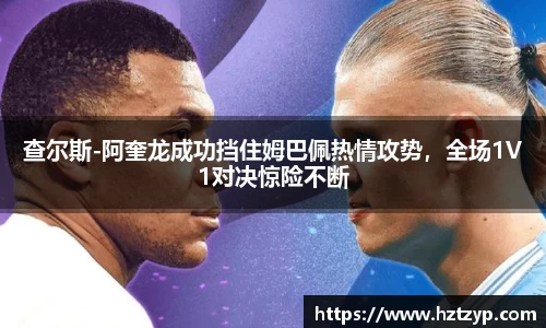 3377体育官网登录