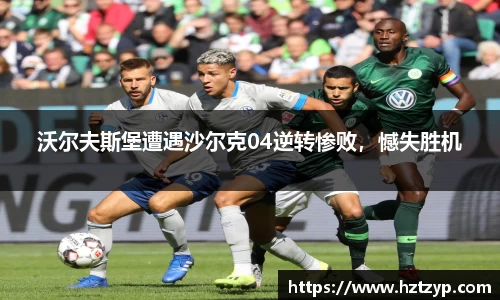 3377体育官网入口