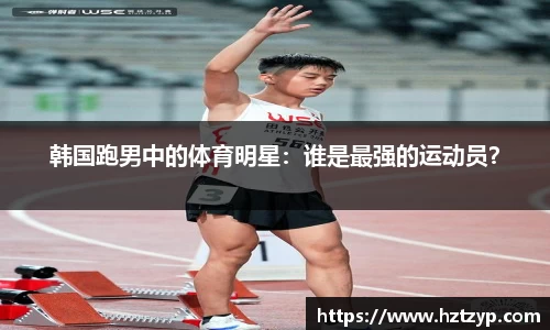 3377体育