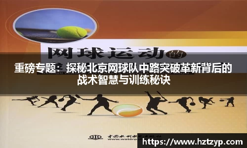3377体育官网入口