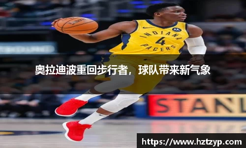 3377体育官网登录