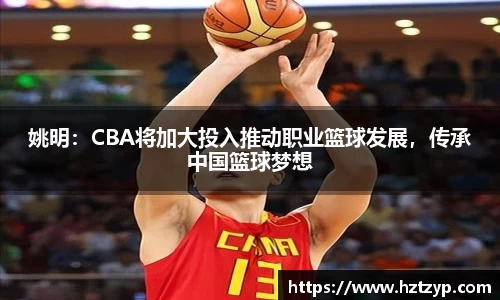 3377体育官网登录